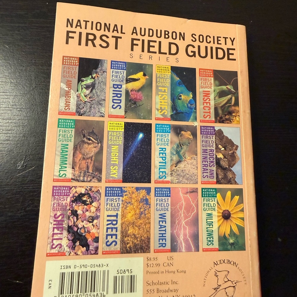 First Field Guide: Insects - Green Praying Mantis Cover - Picture 2 of 2